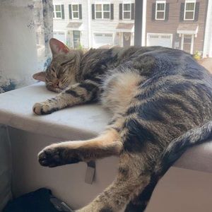 Meet your Posher, Molly